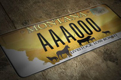 Montana Licensing image 1
